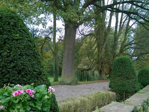Le Chateau D'Osthoffen Exteriér fotografie